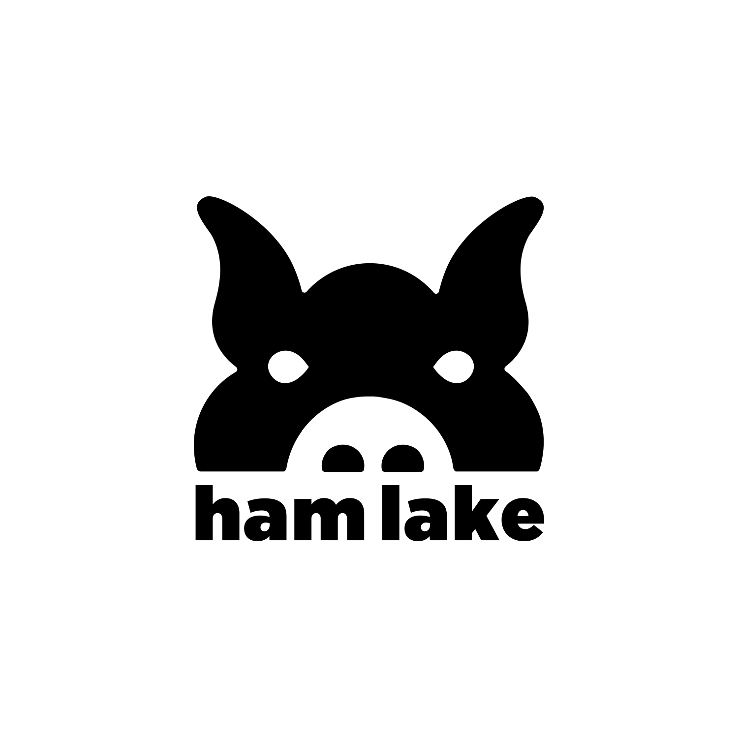 Ham Lake Presents User Error's Reckless Sentiment by David Lowman