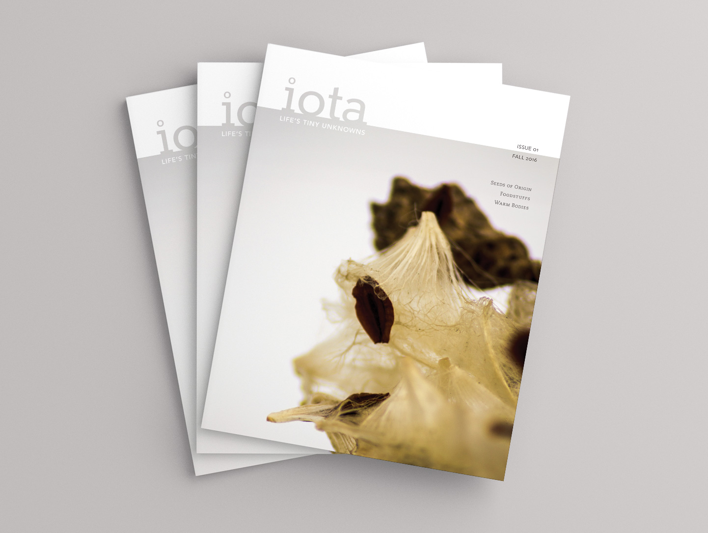 iota magazine by Jenn Woodham