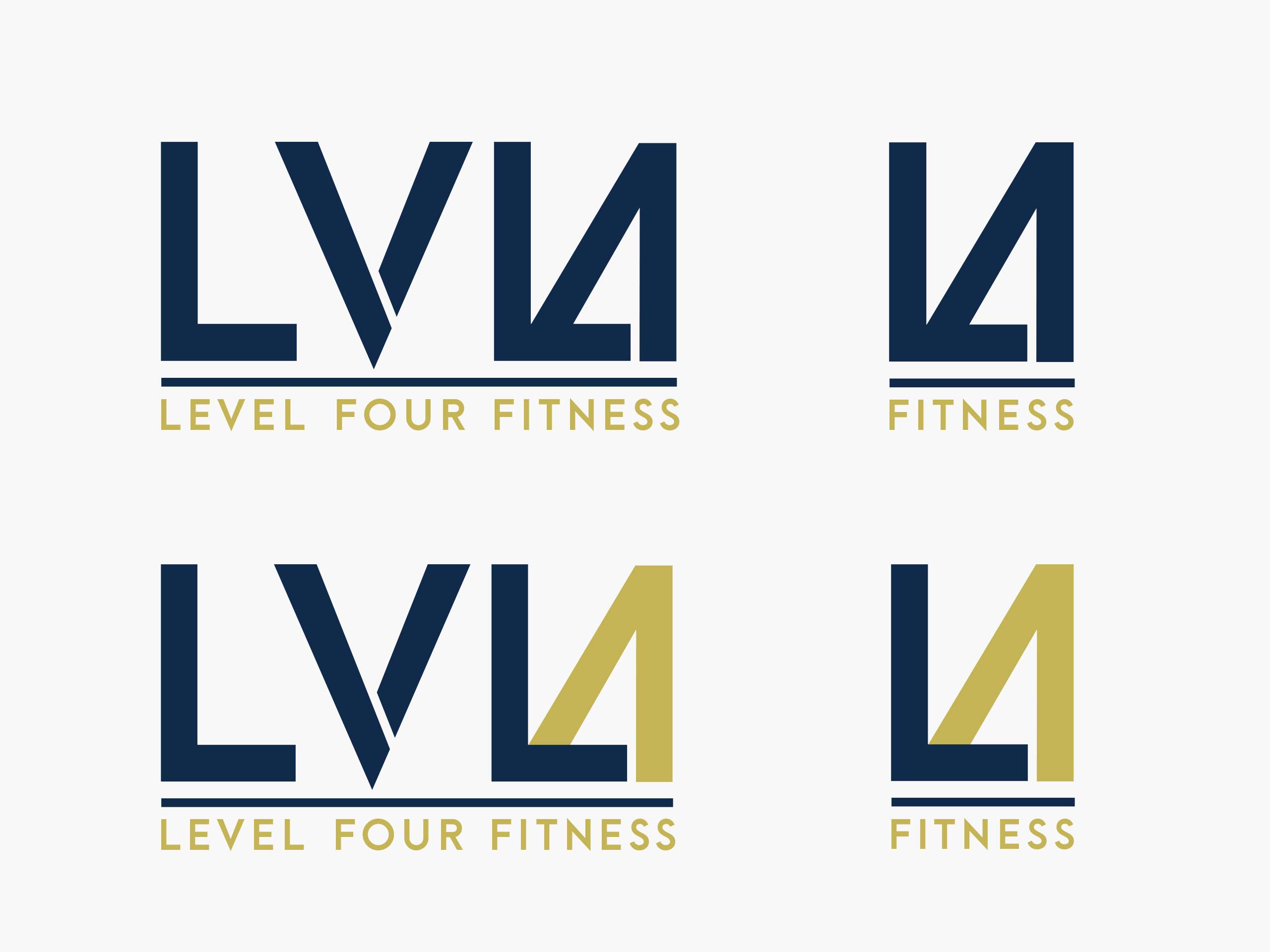 LVL4 Rebrand by Jenessa Johnson